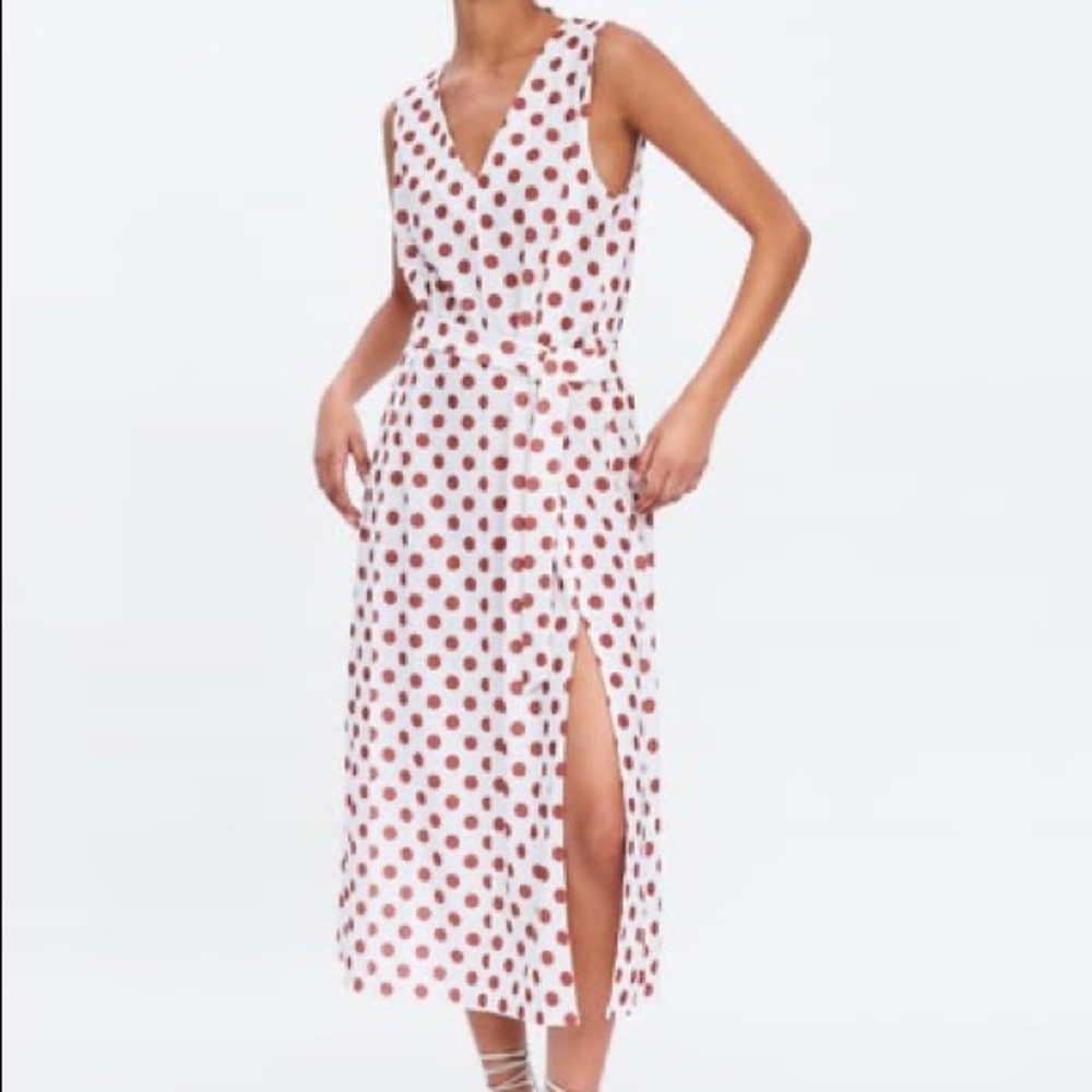 Zara Belted Polka Dot Dress